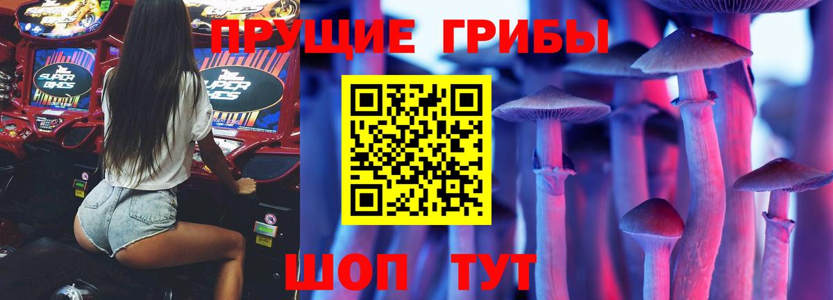 Галлюциногенные грибы Cubensis  Галлюциногенные грибы Magic Shrooms  Вход с VPN  Карасук 